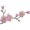 Flowers - 植物 - 