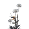 Flowers - Biljke - 
