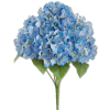 Flowers - Plants - 