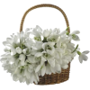 Flowers in basket - Illustrations - 