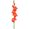 Flower stem - Plantas - 