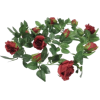 Flower vine - 植物 - 