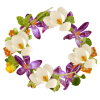 Flower wreath - Pflanzen - 