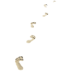 Footprints in the sand - Narava - 