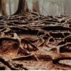 Forest floor - Natura - 
