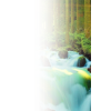 Forest right side transparency - 自然 - 