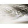 Foto - Moje fotografije - 