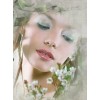 Foto - Подиум - 