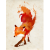 Fox - Illustrations - 