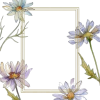 Frame - Illustrations - 