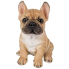French bulldog puppy - Živali - 