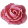 Frosting Rose - Lebensmittel - 