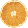 Fruit Orange - フルーツ - 