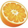 Fruit Orange - イラスト - 