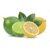 Lemon Lime - Textos - 