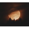 Full moon - Nature - 