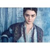 GAME OF THRONES HOUSE STARK-ARYA - Uncategorized - 