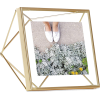 GOLD PHOTO FRAME - Pasovi - 