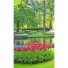 Garden At the Water - Anderes - 