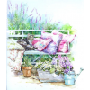 Garden - Illustrations - 
