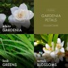 Gardenia petals wax melt - Rekviziti - 