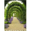 Garden of Arches - Altro - 