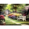 Garden with White Bench - Ostalo - 