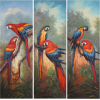 Wallpaper Birds Ara - Fundos - 