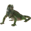 Iguana - Animais - 
