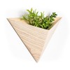 Geometric Planter box, Triangular Indoor Planter, Wall Mounted Black Walnut or Ash Planter - Furniture - $72.00 