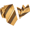 Gold Tie and Pocket Square - Tie - 
