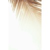 Golden Palm leaf - Mie foto - 