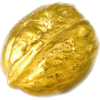 Golden nut - Niwi - Ilustracje - 