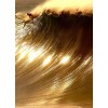 Golden waves - My photos - 