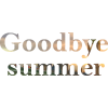 Goodbye Summer - Besedila - 