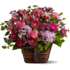cvijeće - Piante - 