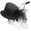 Veil Top Hat - 有边帽 - 