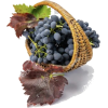 Grapes - Frutta - 