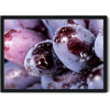 Grapes - Fruit - 