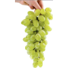 Grapes - Fruit - 