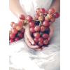 Grapes - Rascunhos - 
