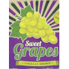 Grapes - Ilustrationen - 