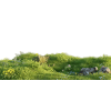 Grass - Fondo - 