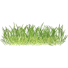 Grass - Rascunhos - 