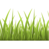 Grass - Иллюстрации - 