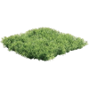 Grass - Predmeti - 