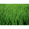 Grass - Natural - 