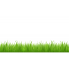 Grass - Uncategorized - 