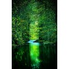 Green Lagoon - Ozadje - 