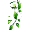 Green Leaf Face Illustration - Altro - 